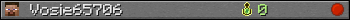 Vosie65706 userbar 350x20