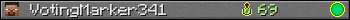 VotingMarker341 userbar 350x20