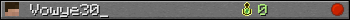 Vowye30_ userbar 350x20
