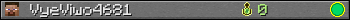 VyeViwo4681 userbar 350x20