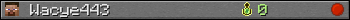 Wacye443 userbar 350x20