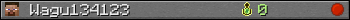 Wagu134123 userbar 350x20