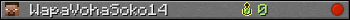 WapaVohaSoko14 userbar 350x20