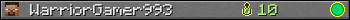 WarriorGamer993 userbar 350x20