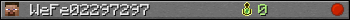 WeFe02297297 userbar 350x20