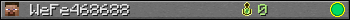 WeFe468688 userbar 350x20