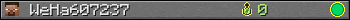 WeHa607237 userbar 350x20