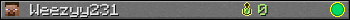 Weezyy231 userbar 350x20