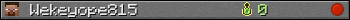 Wekeyope815 userbar 350x20