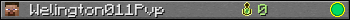 Welington011Pvp userbar 350x20