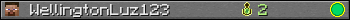 WellingtonLuz123 userbar 350x20