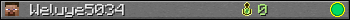 Weluye5034 userbar 350x20