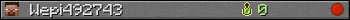 Wepi492743 userbar 350x20