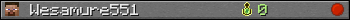 Wesamure551 userbar 350x20