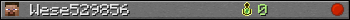 Wese529856 userbar 350x20