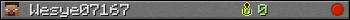 Wesye07167 userbar 350x20