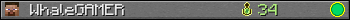 WhaleGAMER userbar 350x20