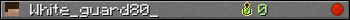 White_guard80_ userbar 350x20