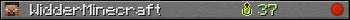 WidderMinecraft userbar 350x20