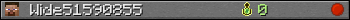 Wide51590855 userbar 350x20