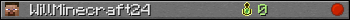 WillMinecraft24 userbar 350x20