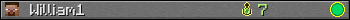 William1 userbar 350x20