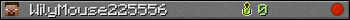 WilyMouse225556 userbar 350x20
