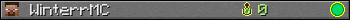 WinterrMC userbar 350x20