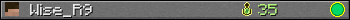 Wise_R9 userbar 350x20