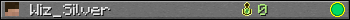 Юзербар 350x20 для Wiz_Silver