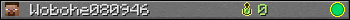 Wobohe080946 userbar 350x20