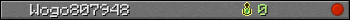 Wogo807948 userbar 350x20