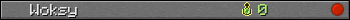 Woksy userbar 350x20