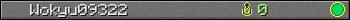 Wokyu09322 userbar 350x20