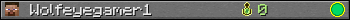 Wolfeyegamer1 userbar 350x20