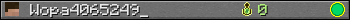 Wopa4065249_ userbar 350x20