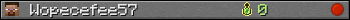 Wopecefee57 userbar 350x20