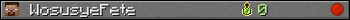 WosusyeFete userbar 350x20