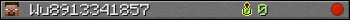 Wu8913341857 userbar 350x20