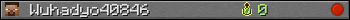 Wuhadyo40846 userbar 350x20