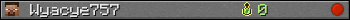Wyacye757 userbar 350x20