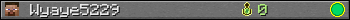 Wyaye5229 userbar 350x20