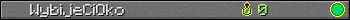 WybijeCiOko userbar 350x20