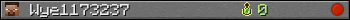 Wye1173237 userbar 350x20