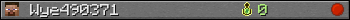 Wye490371 userbar 350x20