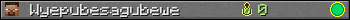 Wyepubesagubewe userbar 350x20
