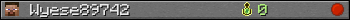 Wyese89742 userbar 350x20