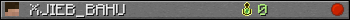 XJIEB_BAHU userbar 350x20