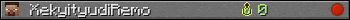 XekyityudiRemo userbar 350x20