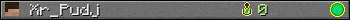 Xr_Pudj userbar 350x20